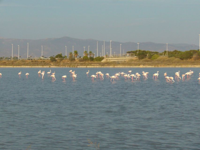Cagliari: Bike Tour in the Flamingo Oasis - The Marina-to-Bonaria Start: City Sights Before the Quiet