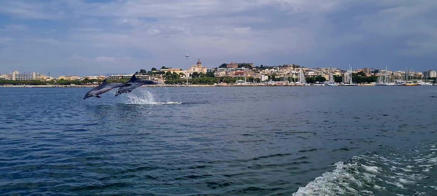 Cagliari: Boat Tour, 4 Stops, Swim, Snorkeling, & 1 Spritz - Why This Cagliari Speedboat Tour Makes Sense (RIB vs. Sailboat)