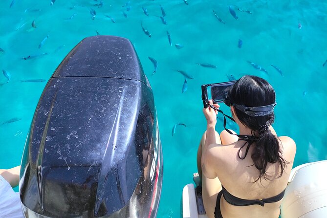 Cagliari Boat Tour with Sardatrips; Swim, Snorkeling, Sip & Snack - Key highlights you should know before you go