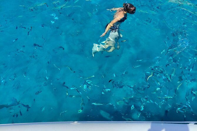 Cagliari Boat Tour with Sardatrips; Swim, Snorkeling, Sip & Snack - The 2 to 3 hour structure: short stops, real swim time