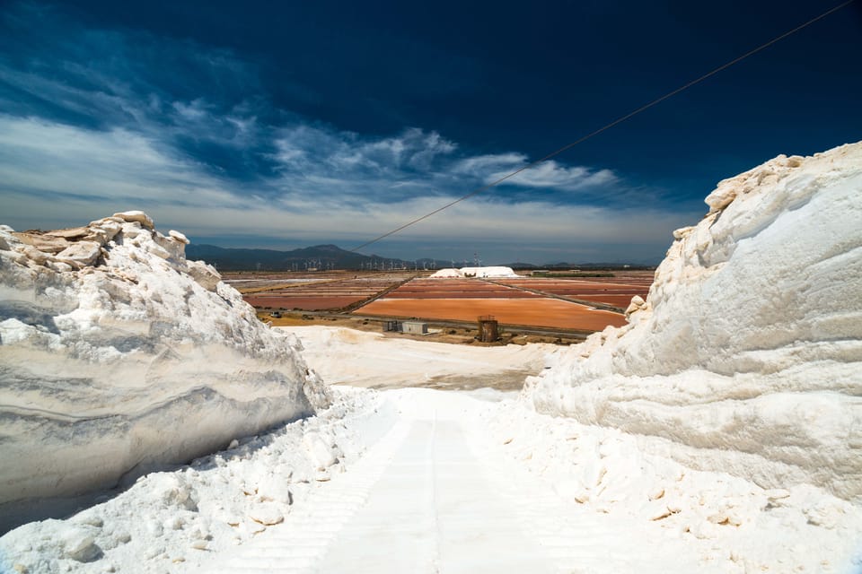 Cagliari: Conti Vecchi Salt Flats Train and Tour - Key takeaways before you go