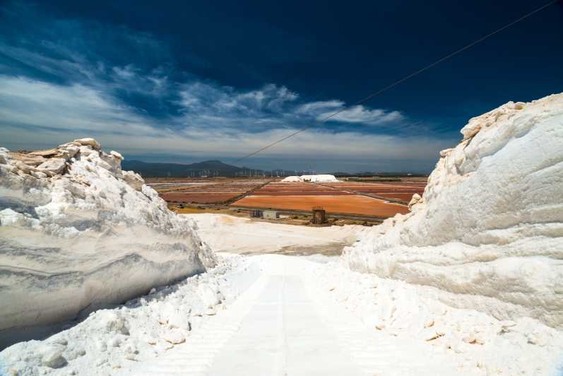 Cagliari: Conti Vecchi Salt Flats Train and Tour - Getting to Assemini/Macchiareddu without stress