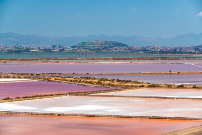 Cagliari: Conti Vecchi Salt Flats Train and Tour - What the saltworks visit feels like: museum first, then the why