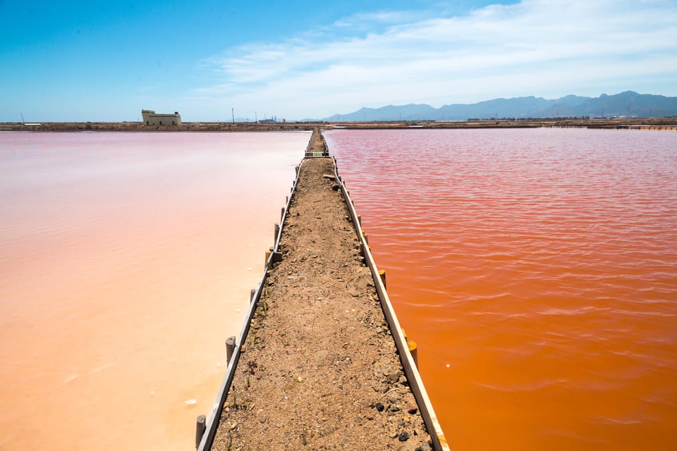 Cagliari: Conti Vecchi Salt Flats Train and Tour - Flamingos, weather, and photo strategy that actually helps