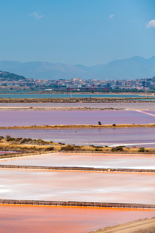 Cagliari: Conti Vecchi Salt Flats Train and Tour - Price and value: why $14 can be a smart deal