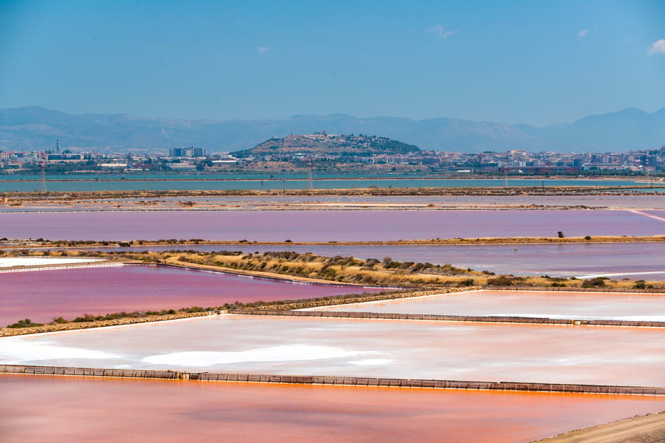 Cagliari: Conti Vecchi Salt Flats Train and Tour - What the saltworks visit feels like: museum first, then the why