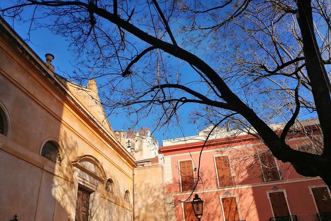 Cagliari: natural cultural walking, food wine tasting experience - Who this tour is best for (and who should skip it)