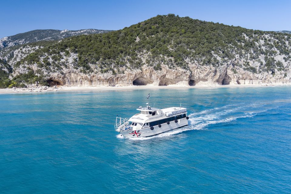 Cala Gonone: Grotta del Bue Marino and Cala Luna Boat Tour - Cala Luna Beach: famous film backdrop and a place to cool off