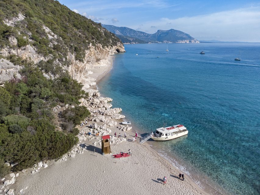 Cala Gonone: Guided Boat Tour to Cala Luna Beach - Cala Luna in detail: caves, oleander forest, freshwater pond, and codula paths