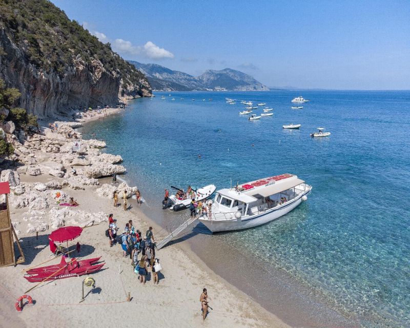 Cala Gonone: Gulf of Orosei Cruise with Food and Swimming - Key highlights to plan around