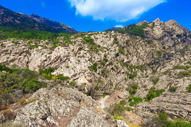 Canyoning in Rio Pitrisconi and Monte Nieddu in San Teodoro - Price and value: what you’re actually paying for