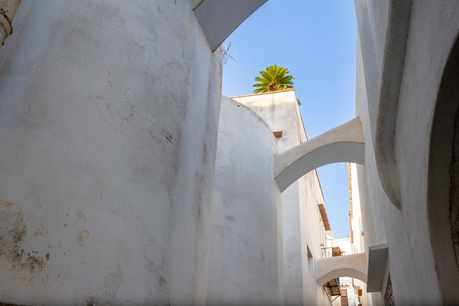 Capri and Blue Grotto Day Tour from Naples or Sorrento - Jetfoil to Capri: Fast Ferry, Big Sea Views