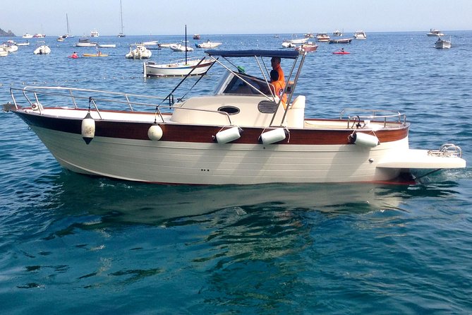 Capri & Blue Grotto Small Group Full-Day Boat Tour from Positano - Onboard comfort: drinks, towels, and the feel of a day trip