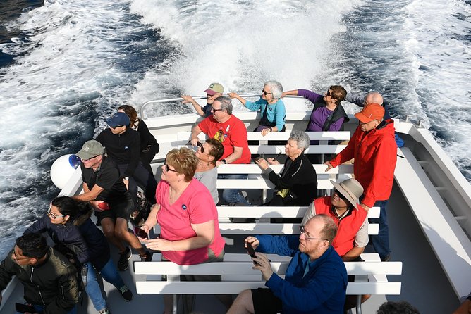 Capri Coast to Coast: Boat Tour with Optional Blue Grotto - Price and value: $28.76 plus the Blue Grotto fee