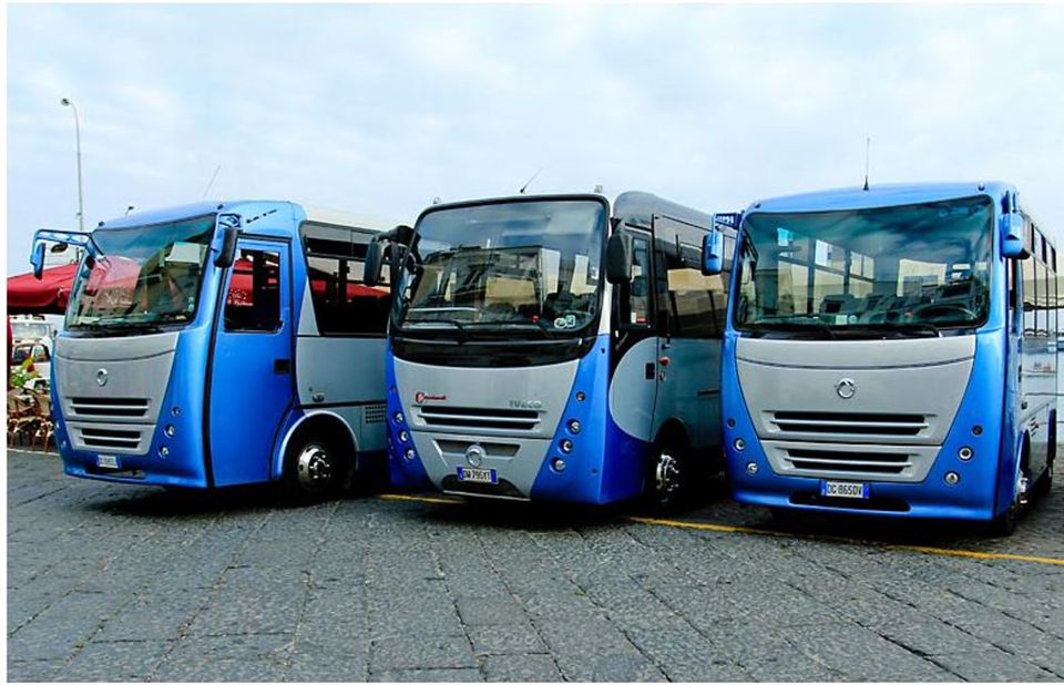Capri: DIY Day Trip with Blue Grotto, Funicular & Lunch - The boat tour and the Blue Grotto stop: what you actually get