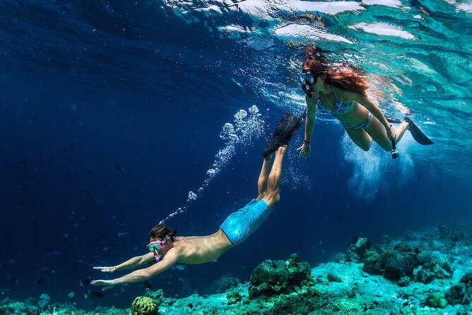 Capri Island Small Group Boat Tour from Naples with Light Lunch - White Grotta, Marvellous Grotta, and Green Grotta: the signature cave stops