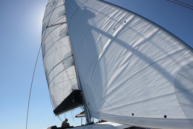 Catamaran Alghero, Catamaran Sailing Day Trip - The Boat Experience: Space, Shade Options, and Bathrooms That Matter