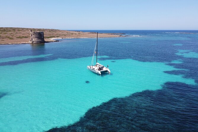 Catamaran excursions in the Asinara island National park - Lunch on board: seafood, wine, coffee, and a real chef vibe
