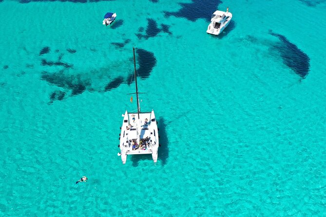Catamaran excursions in the Asinara island National park - Land stop in Asinara: former prison area, rescue center, and wild donkeys