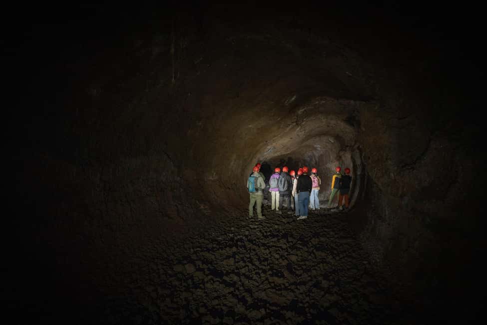 Catania: Amazing Etna Morning Tour with Pickup and Drop-Off - Key highlights to look forward to