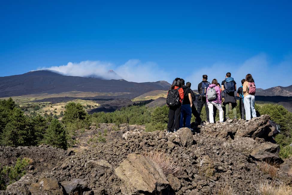 Catania: Amazing Etna Morning Tour with Pickup and Drop-Off - Price and value: why $81 feels fair for what you get
