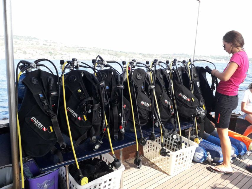 Catania: Gulf Scuba Diving Tour with Marine Biologist - Should you book the Catania Gulf marine biologist tour?