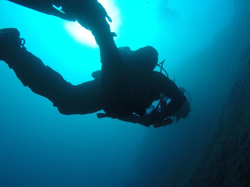 Catania: Gulf Scuba Diving Tour with Marine Biologist - Group pace and timing: what 3.5 hours really feels like