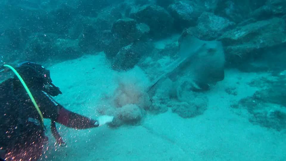 Catania: Gulf Scuba Diving Tour with Marine Biologist - Who should book this tour (and who should skip it)