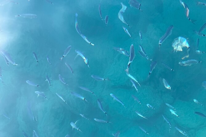 Catch the Sun, Skip the Crowds: 5Terre w Aperitivo&Snorkel - Vernazza From the Sea: Pastel Color, Tight Harbor, Great Photo Angles