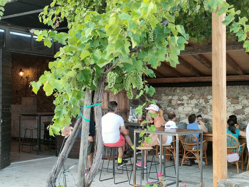 Cavaion: Lake Garda Wine & Food Tasting with Vineyard Tour - Why a small vineyard near Cavaion beats a typical Lake Garda stop