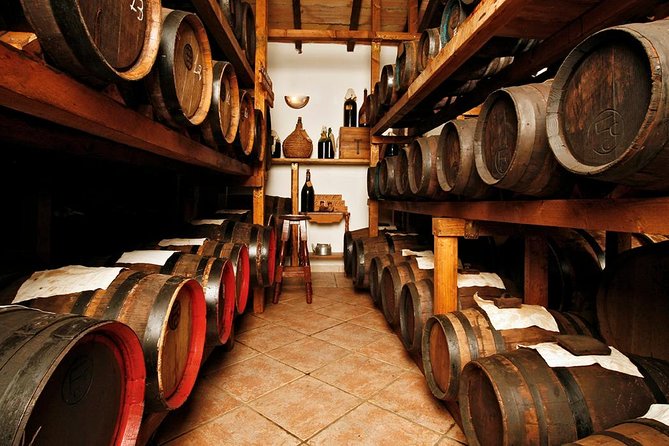 Cavedoni Balsamic Vinegar Tour: The Oldest in Modena - Key highlights you’ll actually care about