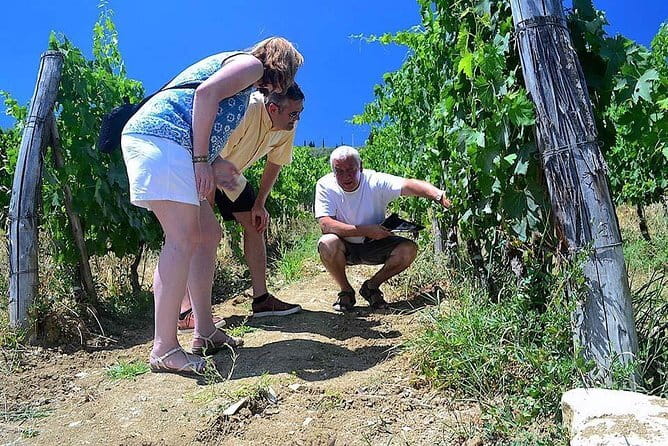 Chianti Classico and Super Tuscan 3 Winery Tour - Key things I’d circle before you book