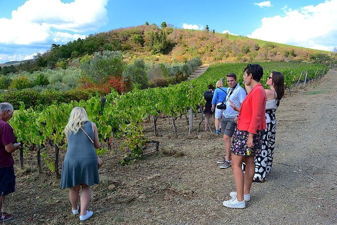 Chianti Classico and Super Tuscan 3 Winery Tour - Getting your money’s worth: how the pace and group size shape the tastings
