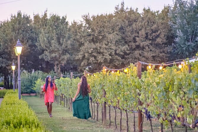 Chianti Delights: A Tale Of Two Wineries With A Vineyard Dinner - Key points worth your attention