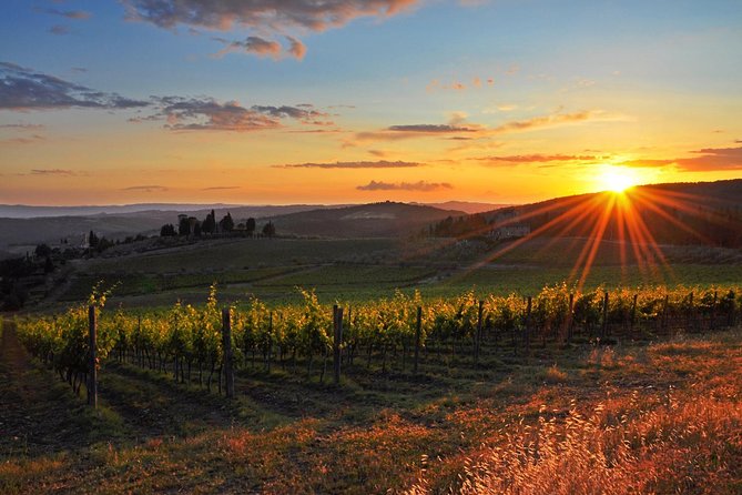 Chianti Half-day Wine Tour in the Tuscan's Hills from Pisa - Key highlights if you’re booking a Chianti tour from Pisa