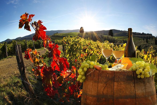 Chianti Half-day Wine Tour in the Tuscan's Hills from Pisa - The tasting reality: six wines, olive oil, pecorino, and ham