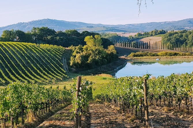Chianti Wine Tastings Day Trip at Sunset from Florence - Key highlights at a glance