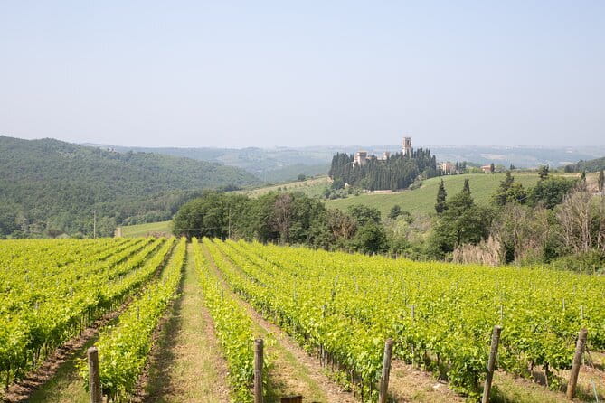 Chianti Wine Tastings Day Trip at Sunset from Florence - Greve in Chianti: the stop that gives you breathing room