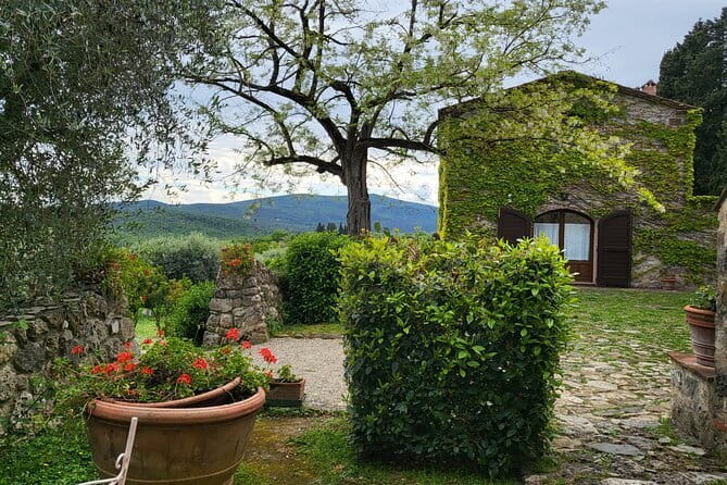 Chianti Wine Tour from Florence with Tastings - Fattoria Lornano: Your First Chianti Taste with Snacks and Structure