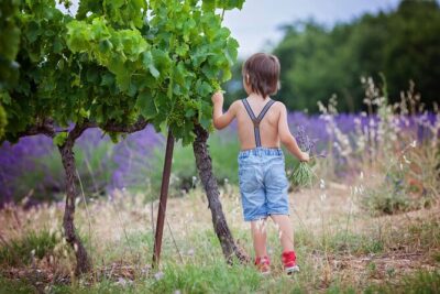 Chianti Wine Tour in Tuscany from Florence - San Gimignano: towers, piazzas, and time to wander