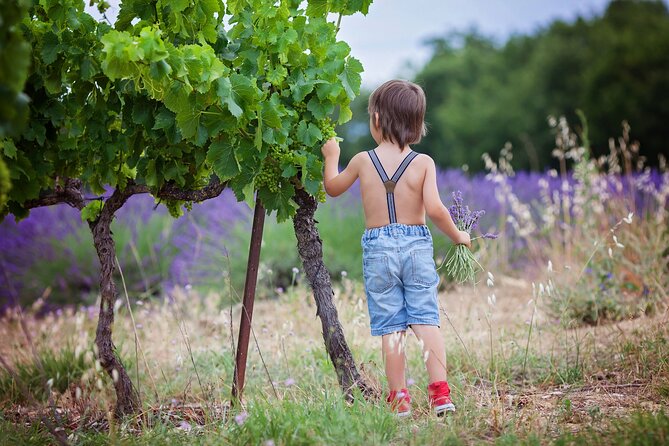 Chianti Wine Tour in Tuscany from Florence - San Gimignano: towers, piazzas, and time to wander