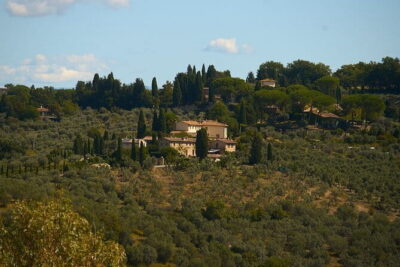 Chianti Wine Tour with Tastings Semi-Private Experience - Stop 1: Castello di Gabbiano Estate Visit and Tasting