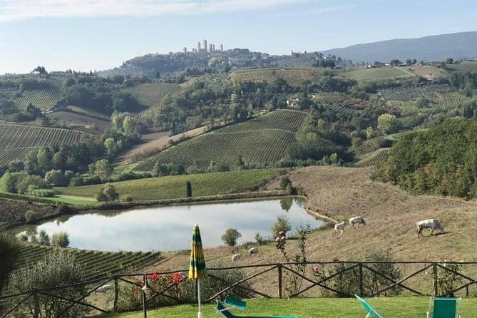 Chianti Wineries Tour with Tuscan Lunch and San Gimignano - Why This Chianti Wine Day Feels Worth It