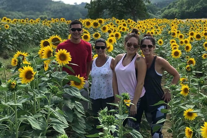 Chianti Wineries Tour with Tuscan Lunch and San Gimignano - Start in Florence: Via Curtatone Pickup and a Low-Stress Schedule