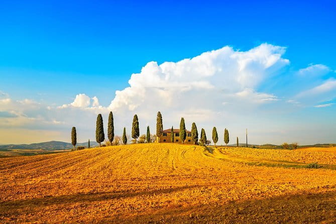 Cinque Terre and Pisa Full Day Tour from Florence - Cinque Terre villages: the best part is the walking + the views
