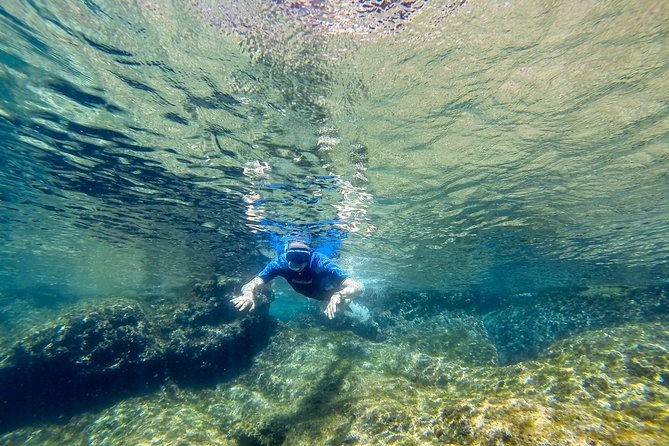 Cinque Terre Half Day Kayak Trip from Monterosso - Guides You Might Meet: Small-Group Attention in Action