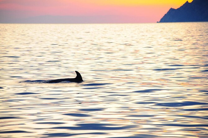 Cinque Terre Sunset Cruise with Aperitif from Monterosso - Stop 1: Monterosso al Mare First, with Beach Views and Village Color