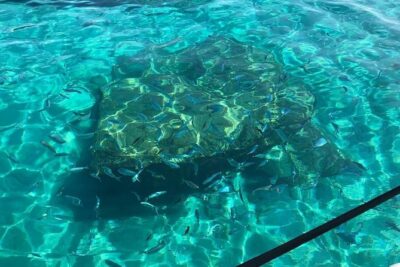 Coast of the Gods snorkeling tour: the best you can find. - 3 Hours on the Coast of the Gods: The Pace You’re Signing Up For