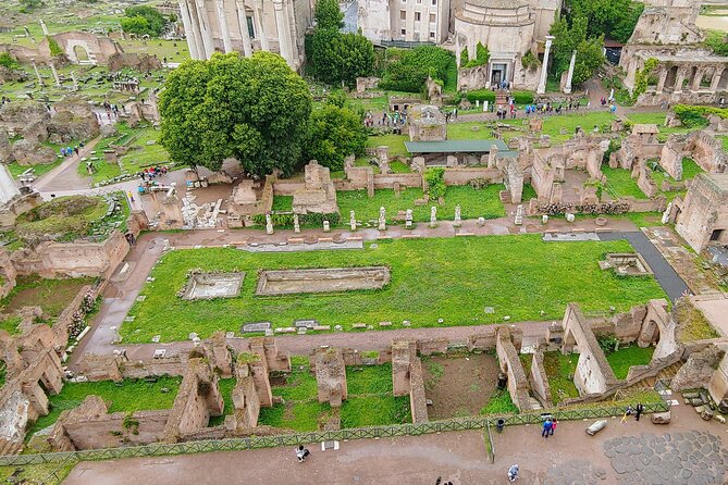 Colosseum & Ancient Rome Guided Walking Tour - Price and value: what $65.33 buys you in Rome terms