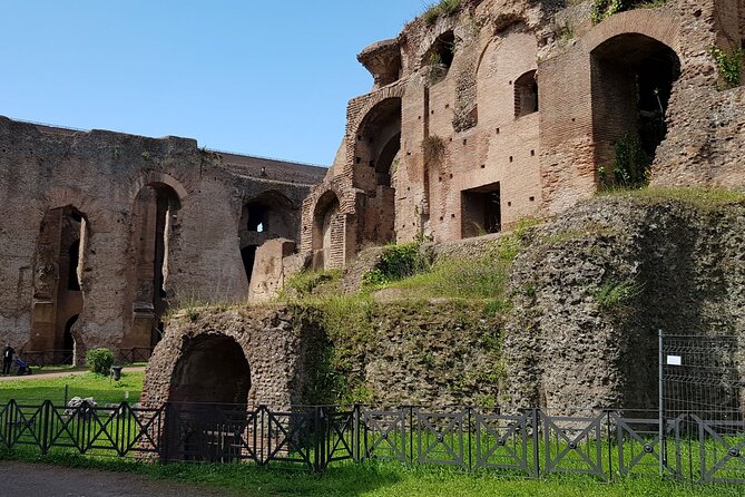 Colosseum Arena Floor Roman Forum and Palatine Hill Live Guide - Guide + headsets: the difference between seeing and understanding